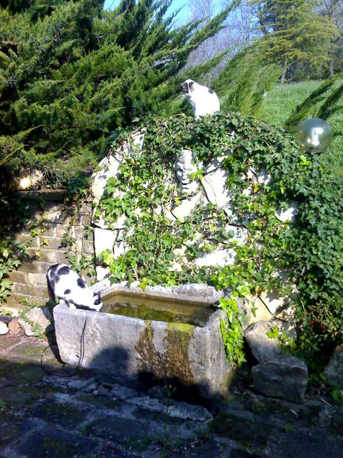 Villa Con Piscina Canale Monterano Eksteriør bilde